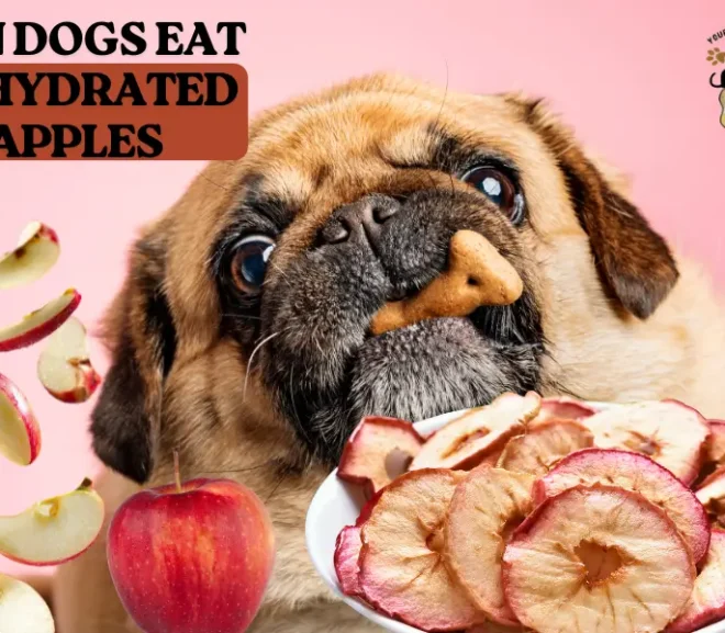 Can Dogs Eat Dehydrated Apples? Healthy Treat or Hidden Risk!