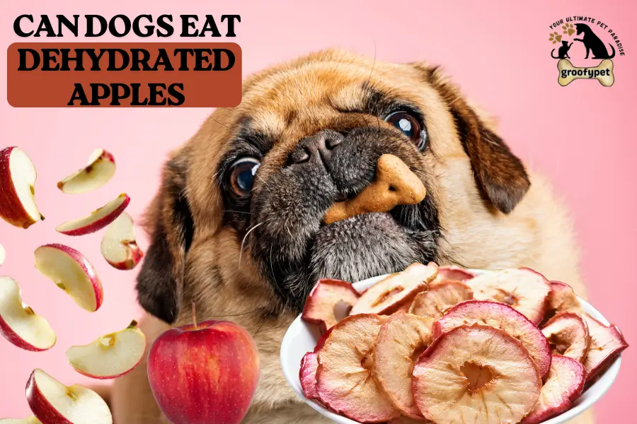 can dogs eat dehydrated apples