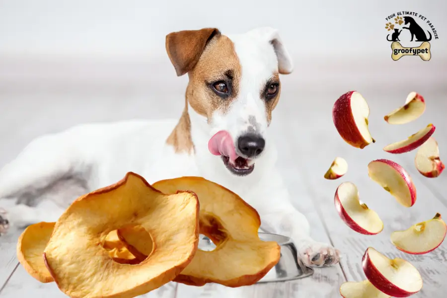 can dogs eat dehydrated apples