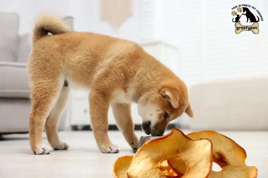 can dogs eat dehydrated apples