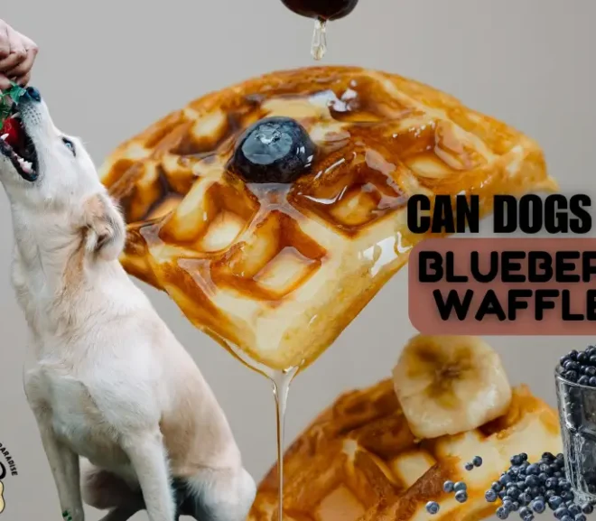 Can Dogs Eat Blueberry Waffles? 10 Risks and Tasty Benefits Explained!