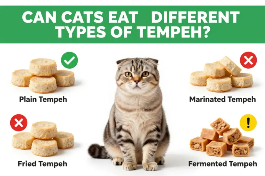 can cats eat tempeh