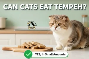 can cats eat tempeh