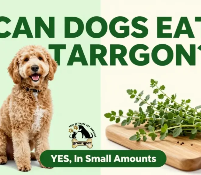 Can Dogs Eat Tarragon? Is This Herb Safe or Toxic for Dogs?