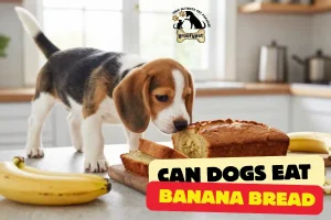 can dogs eat banana bread