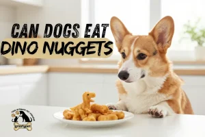 can dogs eat dino nuggets