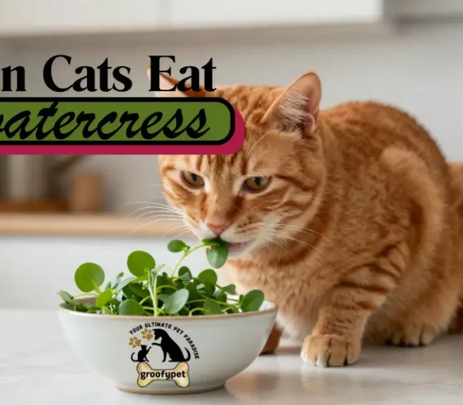 Can Cats Eat Watercress?  Benefits, Risks, and Safe Feeding Guide