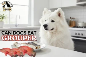Can dogs eat grouper