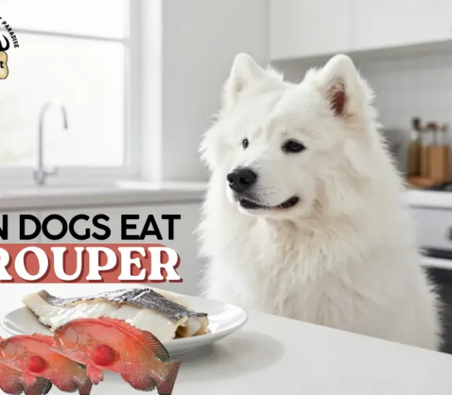 Can Dogs Eat Grouper? Benefits, Risks, and Safe Feeding Guide