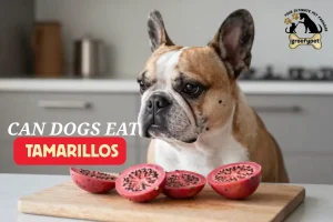 Can dogs eat tamarillos