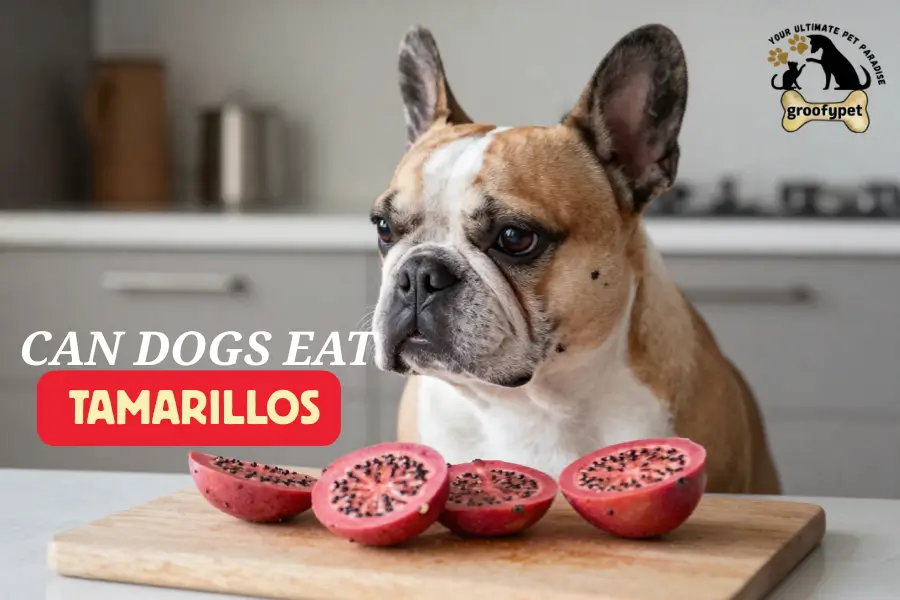 Can dogs eat tamarillos