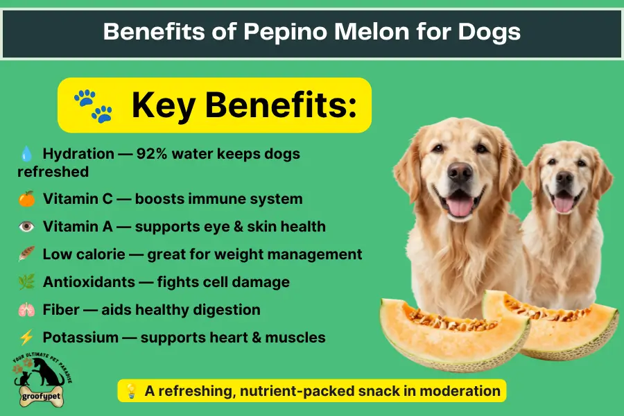 Can dogs eat pepino melon