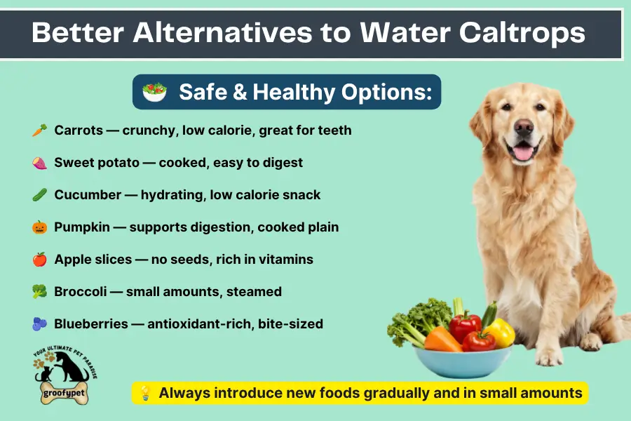 Can dogs eat water caltrops