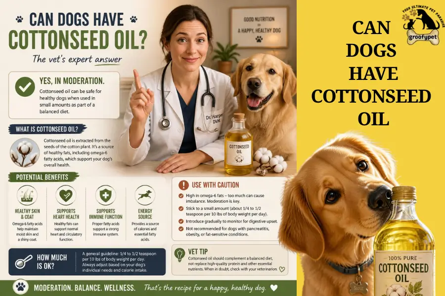 Can Dogs Have Cottonseed Oil