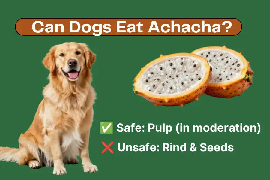 Can Dogs Eat Achacha