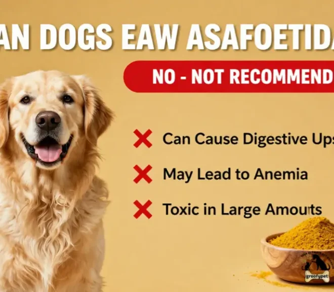 Can Dogs Eat Asafoetida?Is Hing Safe or Harmful for Dogs?