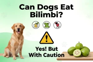 Can Dogs Eat Bilimbi