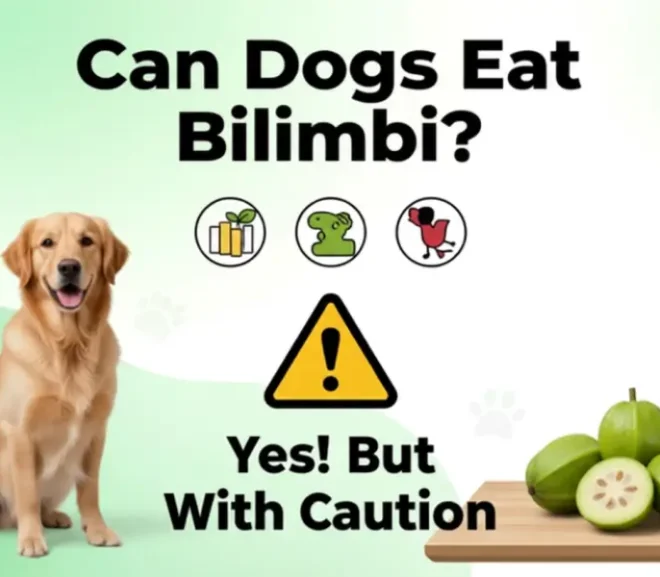 Can Dogs Eat Bilimbi? Safety, Benefits, Risks, and Feeding Guide