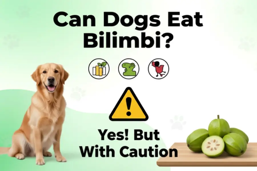 Can Dogs Eat Bilimbi