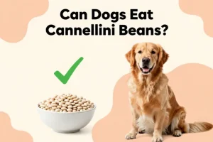 Can dogs eat cannellini beans