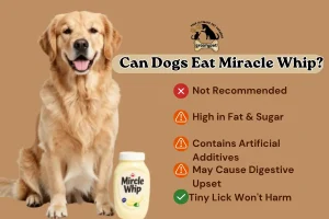 Can Dogs Eat Miracle Whip