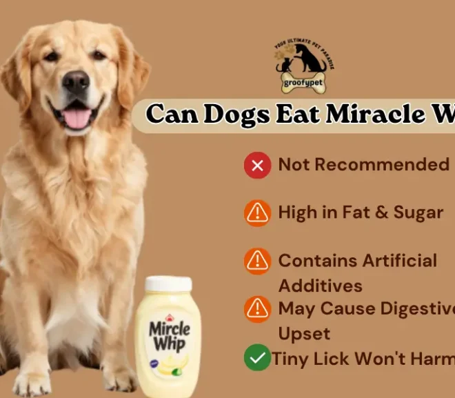 Can Dogs Eat Miracle Whip? Safety,Risks and Alternatives!