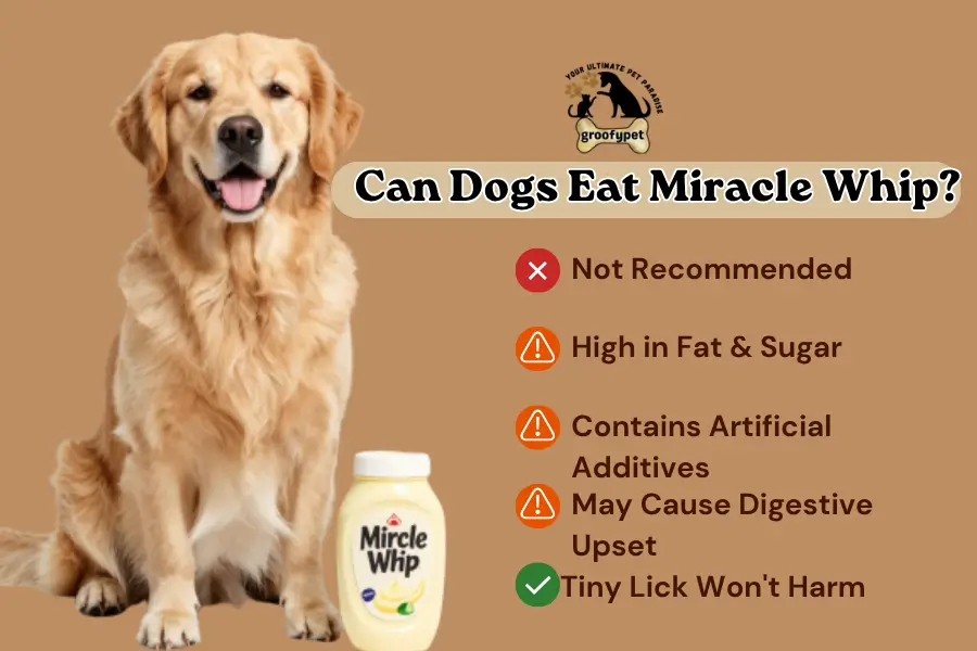 Can Dogs Eat Miracle Whip