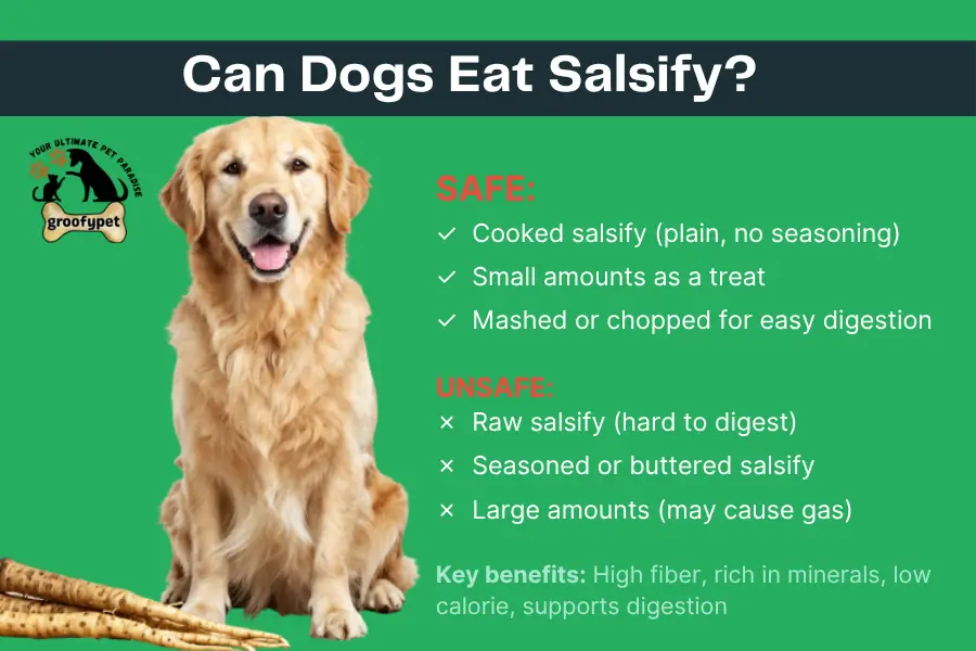 Can dogs eat salsify