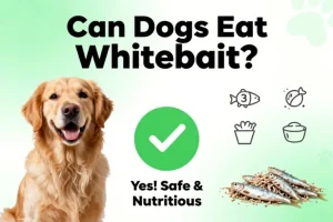 Can dogs eat whitebait