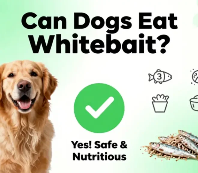 Can Dogs Eat Whitebait? Safe or Risky? The Complete Feeding Guide