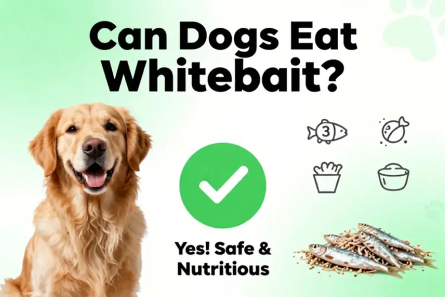 Can dogs eat whitebait
