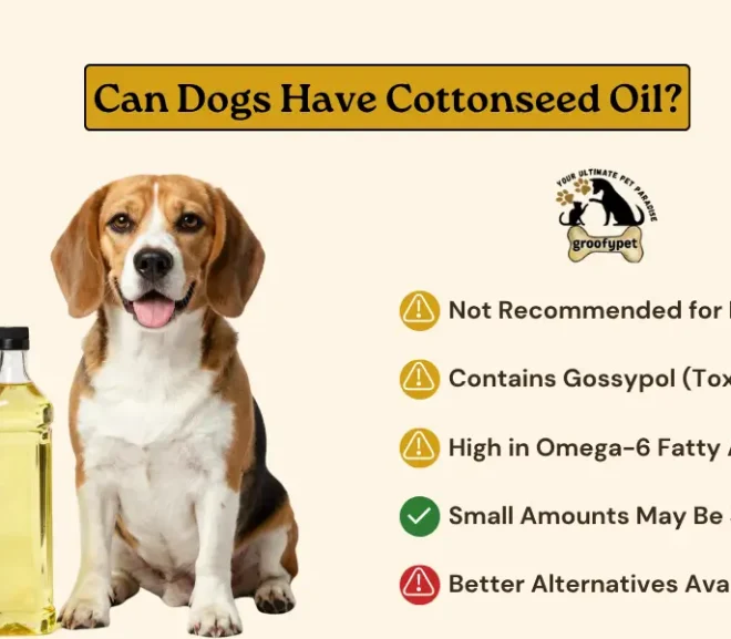 Can Dogs Have Cottonseed Oil?Benefits, Risks, and Expert Advice