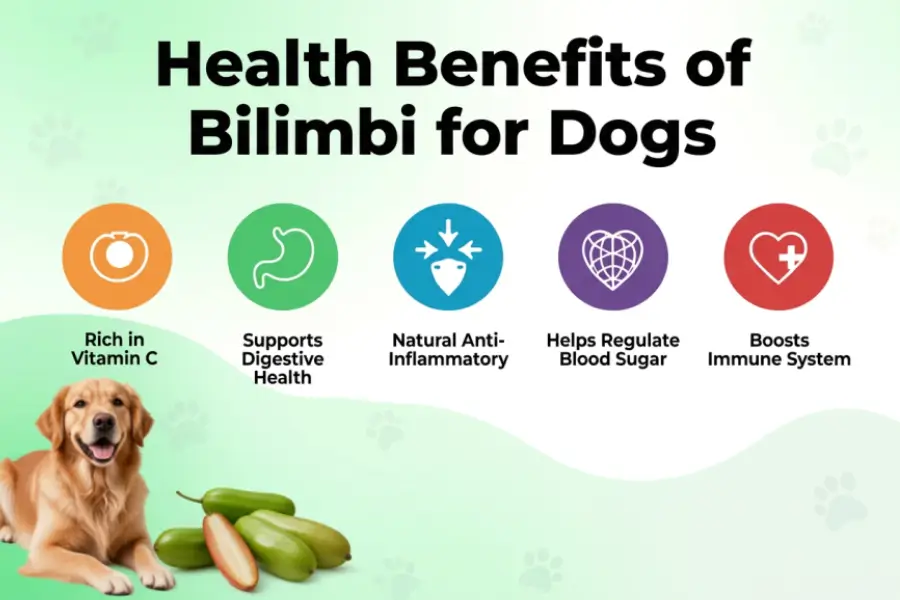 can dogs eat bilimbi