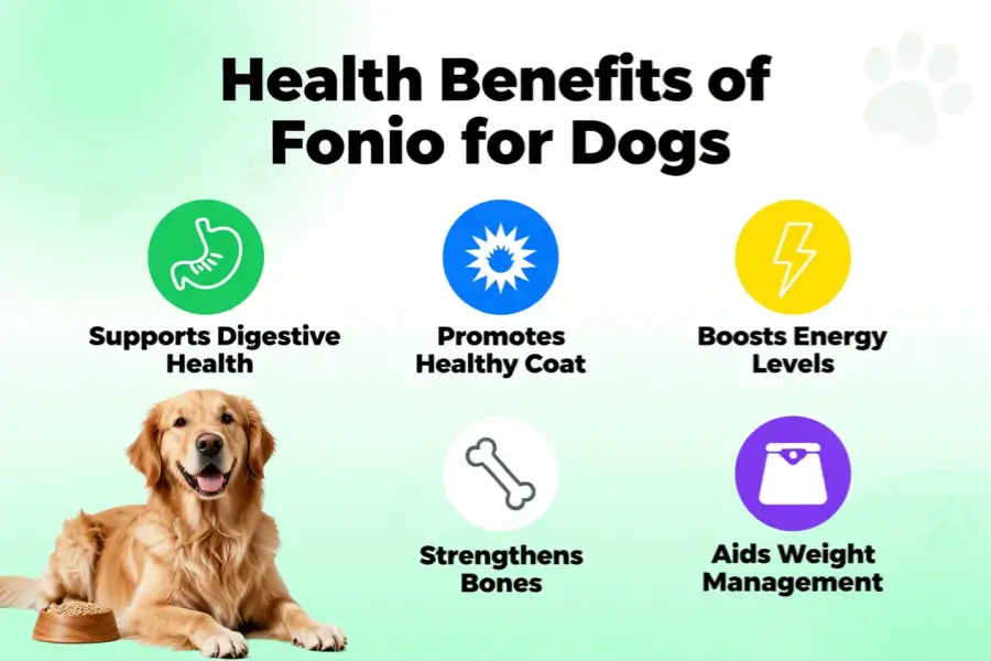 can dogs eat fonio