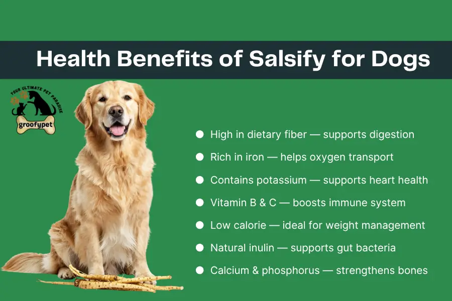 Can dogs eat salsify