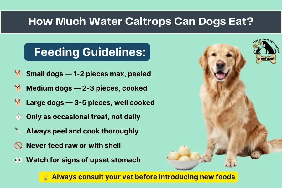 Can dogs eat water caltrops