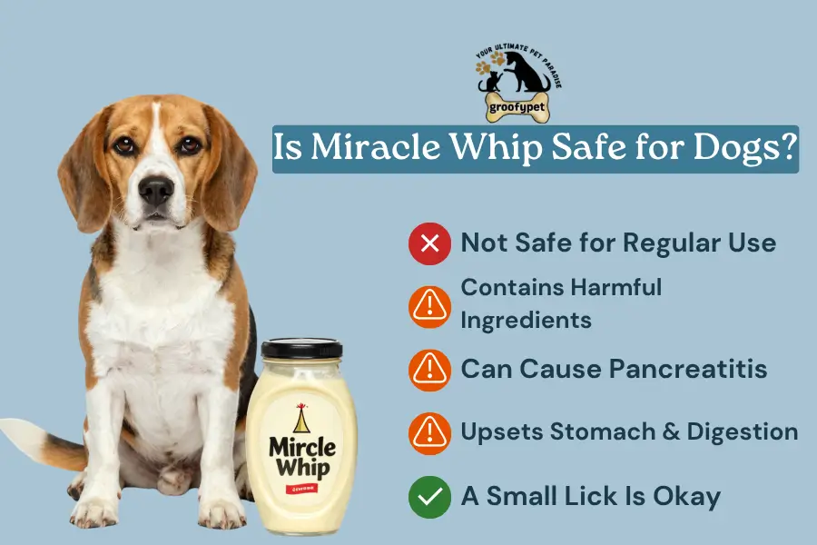 Can Dogs Eat Miracle Whip