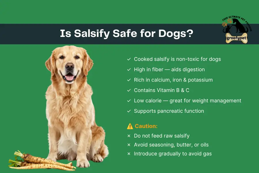 Can dogs eat salsify