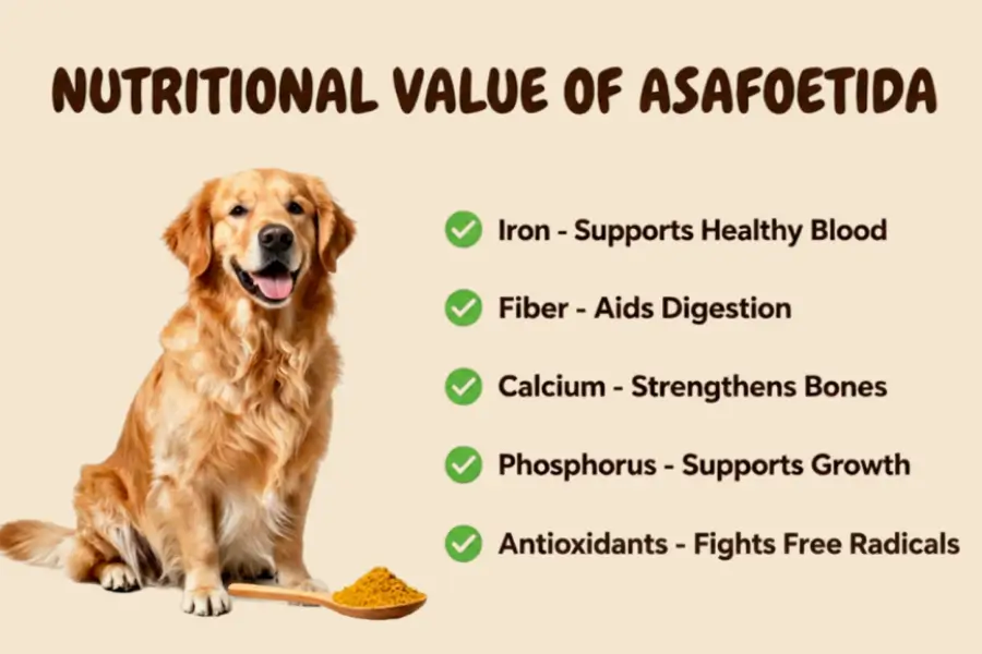 Can Dogs Eat Asafoetida
