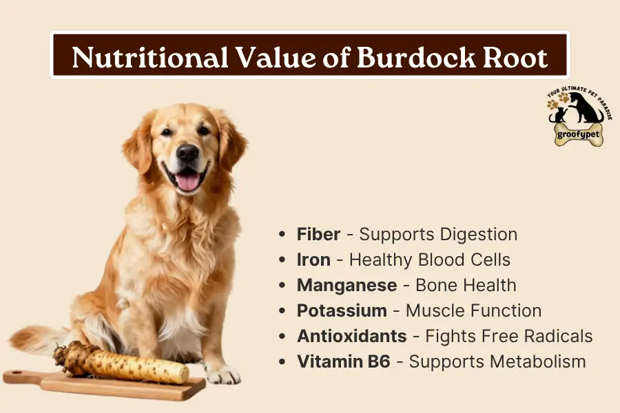 Can Dogs Eat burdock root