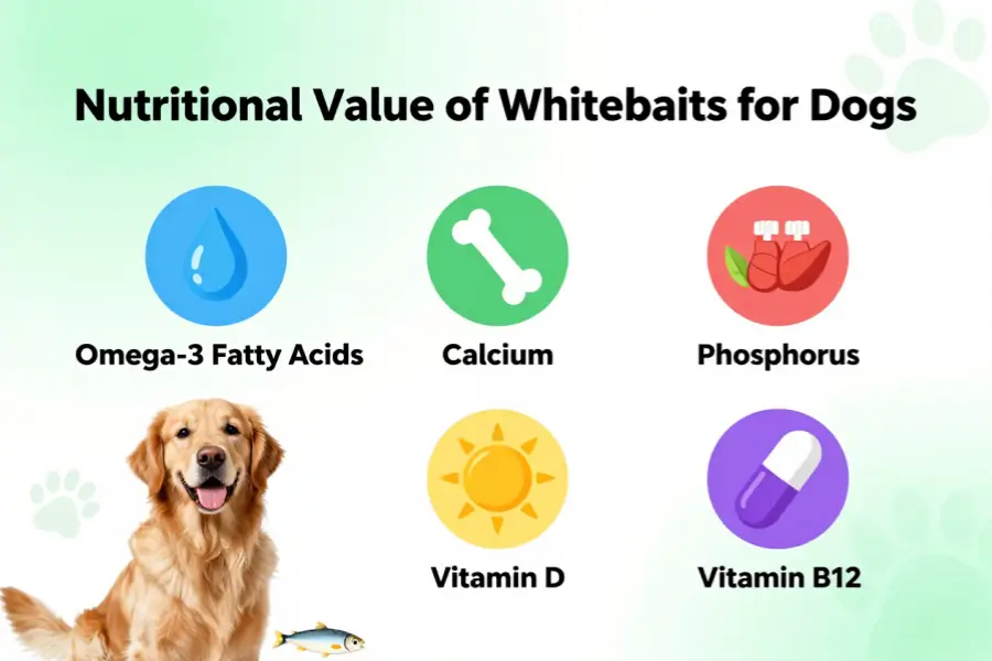 Can dogs eat whitebait