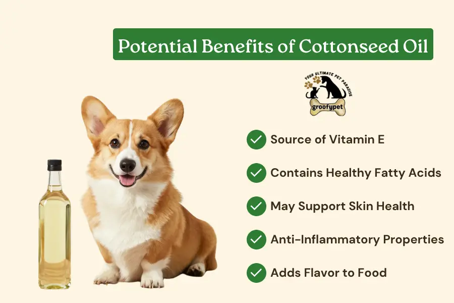 can dogs have cottonseed oil