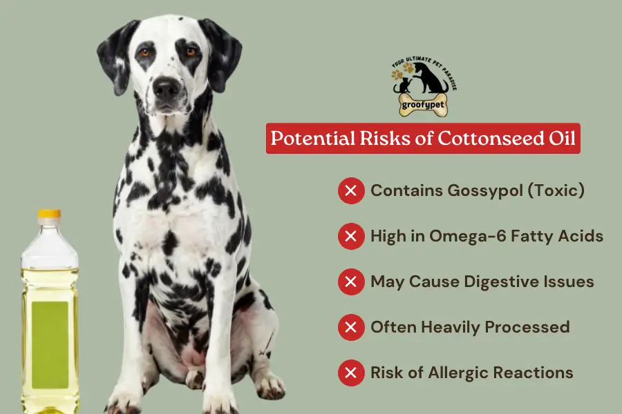 can dogs have cottonseed oil