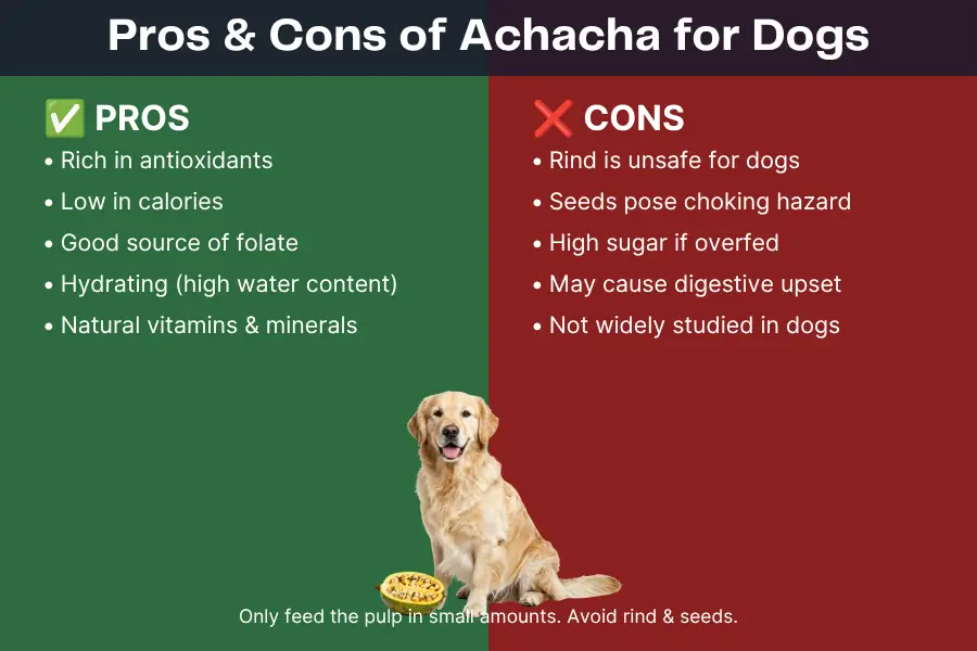 Can Dogs Eat Achacha