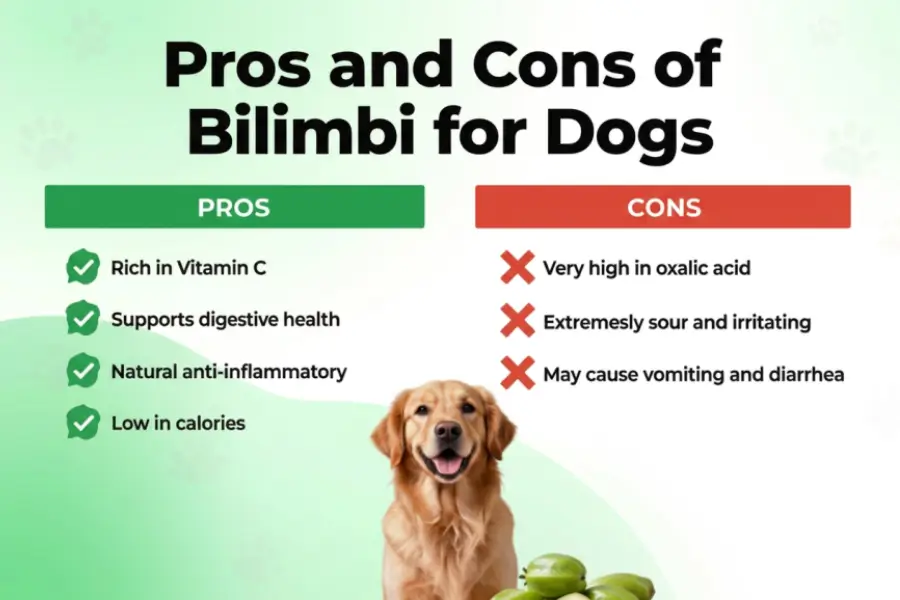 can dogs eat bilimbi