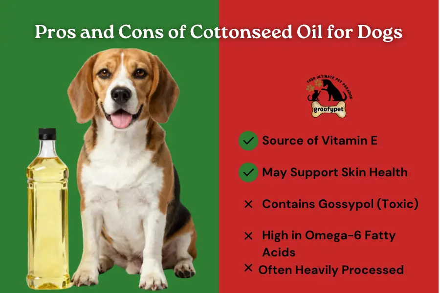 can dogs have cottonseed oil