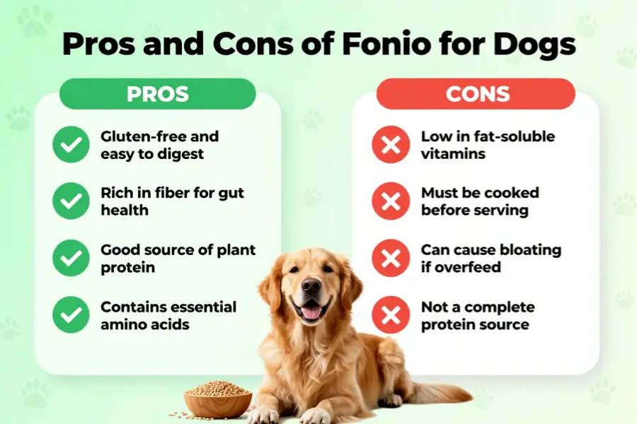 can dogs eat fonio