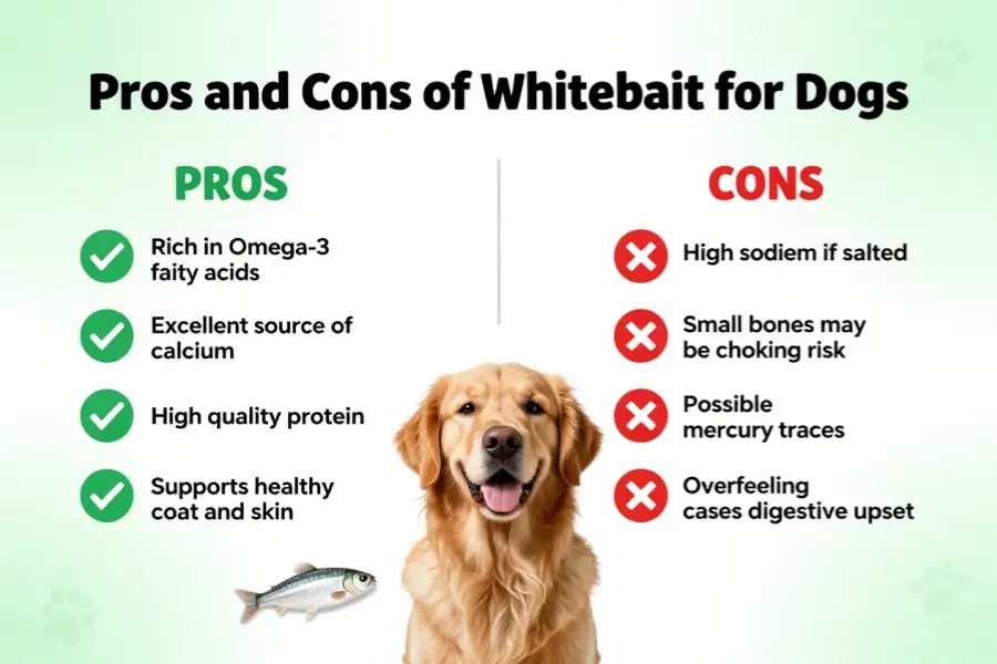 Can dogs eat whitebait