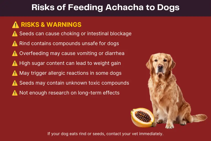 can dogs eat achacha