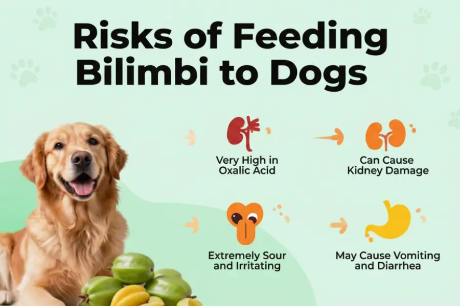 can dogs eat bilimbi